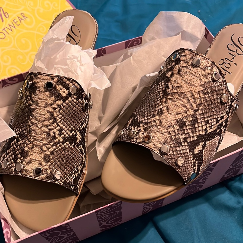 Printed python brighton slides